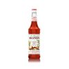 Syrop Monin Winter Spice Rozgrzewający 700ml