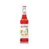 Syrop Monin Orange Spritz 700ml