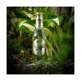 Lord of Taste, Premium Ginger Beer (piwo imbirowe), napój butelka 200ml