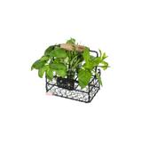 Koszyczek serwisowy metalowy czarny z tabliczką 13x9x6cm