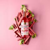 Syrop z Rabarbaru Premium Lord of Taste 700ml