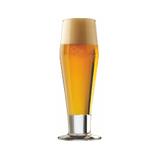 Szklanka do piwa Catalina Footed Ale 451ml * 15 1/4 Oz
