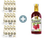 Lord of Taste, zestaw promocyjny - 36x Premium Ginger Beer (piwo imbirowe) + Smooth Premium Puree Lord of Taste Malina 500ml GRATIS