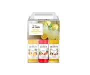 Zestaw lemoniadowy Monin 3x250ml