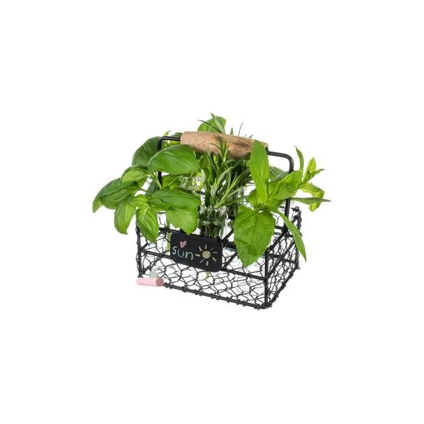 Koszyczek serwisowy metalowy czarny z tabliczką 13x9x6cm