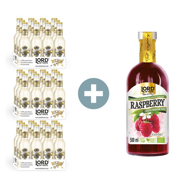 Lord of Taste, zestaw promocyjny - 36x Premium Ginger Beer (piwo imbirowe) + Smooth Premium Puree Lord of Taste Malina 500ml GRATIS